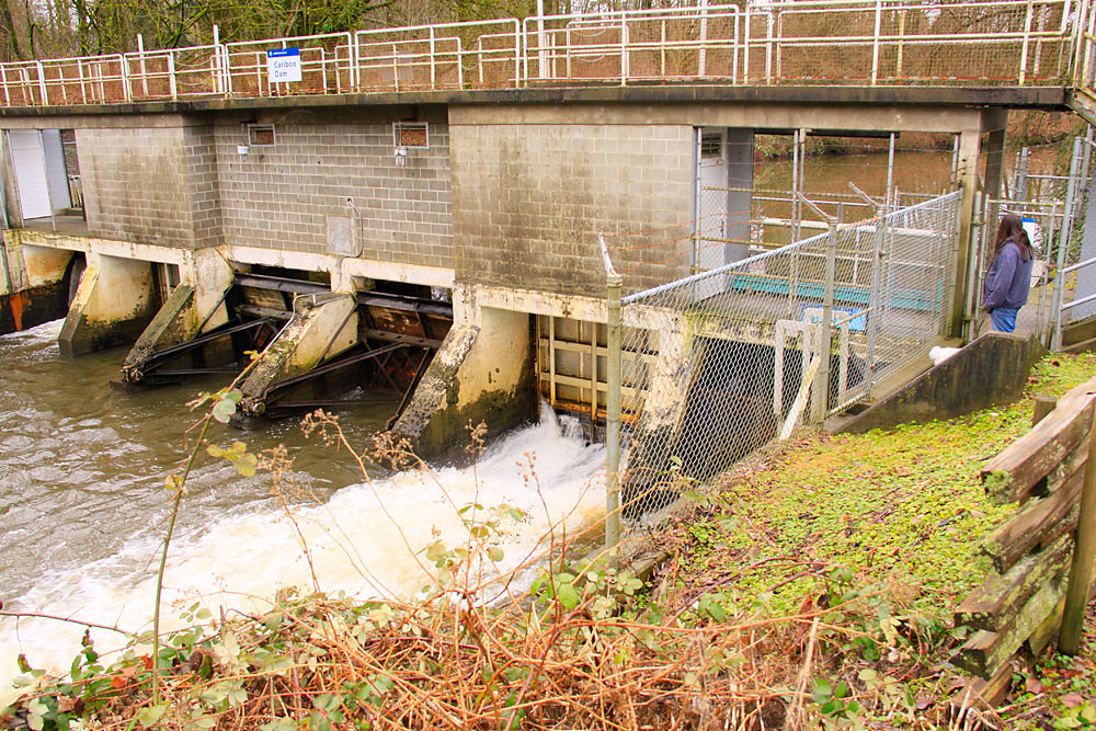 Dam Stream Rehabilitation